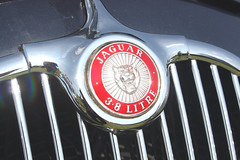 Classic Jaguar Automobiles.