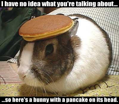 Bunny with pancake on head