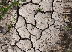 Soil. Ice. - Cracks.