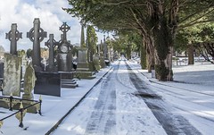 Glasnevin Cemetery in the Snow