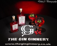 The Gin Ginnery