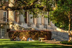 Student study in the shadow of Dallas Hall before finals