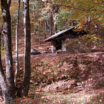 Pinefield Hut