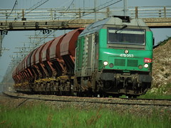 Diesel Trains / Locomotives Diesel