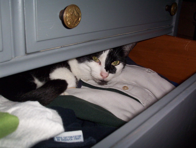 Pied in drawer