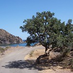 Playa El Ciscar 4