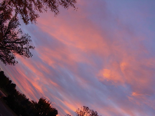 trees sky color clouds sunrise colorado denver