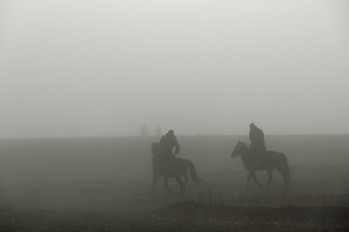 morning horse silhouette fog xinjiang 剪影 hemu
