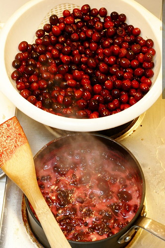 recipe: cranberry sauce    MG 6075