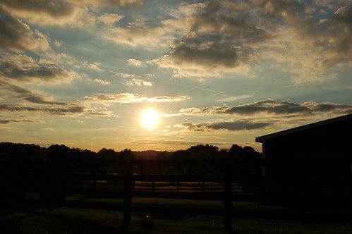 sunset farm kentucky