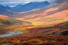 North Klondike Valley - Yukon Autumn