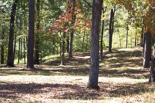 georgia milledgeville dbb1 cedarlanecemetery akamilledgevillestatehospital groundsofcentralstatehosp