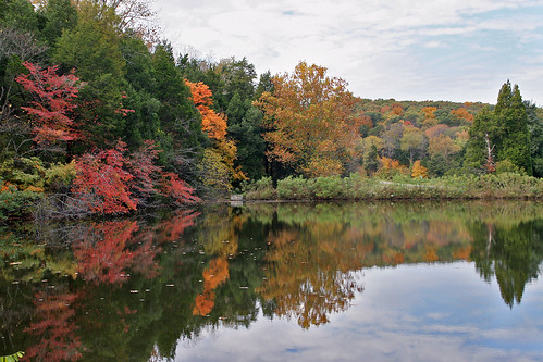 autumn lake reflection fall leaf