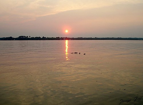 sunset ducks lakeblackshear cordelegeorgia georgiaveteransstatepark ©zarogagoff