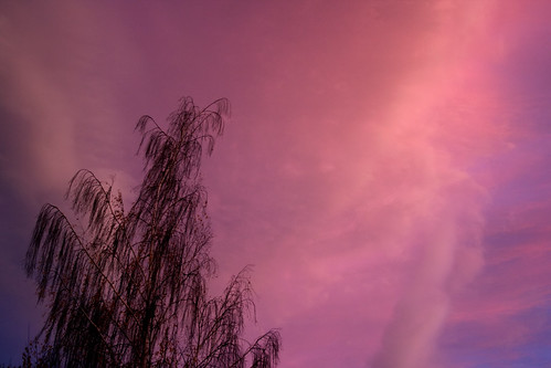 pink sunset sky tree colors montana purple ©tylerknottgregson