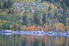 Fall colors at Lake Sabrina