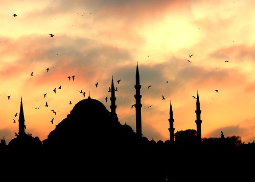 sunset cloud bird turkey interestingness religion istanbul mosque turquie where cami siluet din seagul bulut turkki martı eminonu תורכיה i500 ترکیه türkei türkiye turquía gökyüzü τουρκία kuş inanç