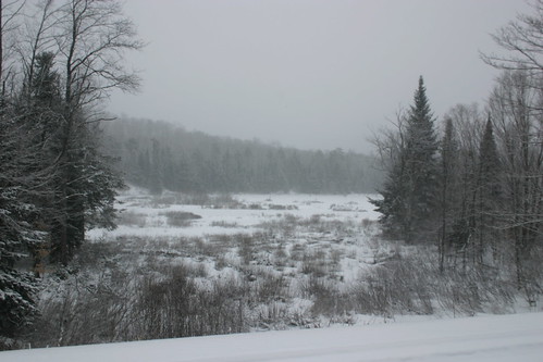 old lake river nelson moose adirondacks forge