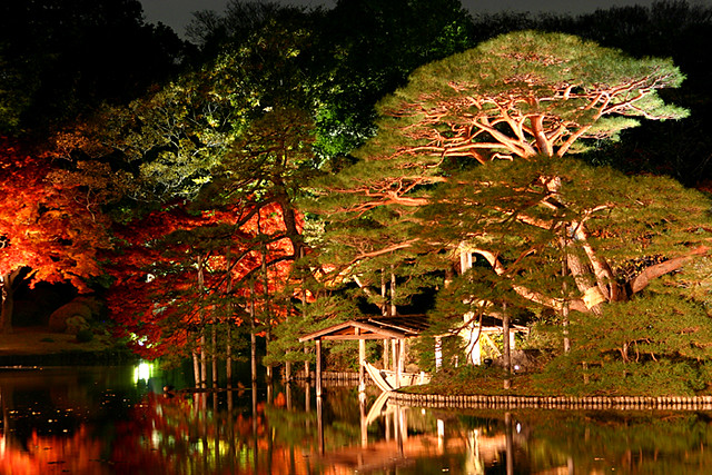 Japanese garden at night #2 | Explore * Yumi *'s photos on ...
