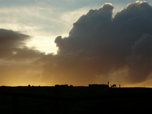 ireland sunset sky cloud geotagged cow cattle cork horizon blarney knocknasuff geolat51952148 geolon8580446