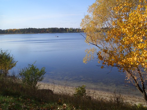 autumn lake fall leaves minnesota menahga