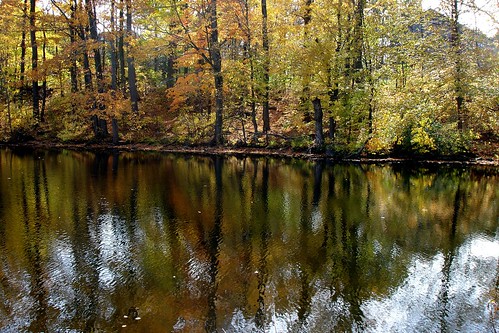autumn ontario canada fall forest pond woods portelgin waltersfalls