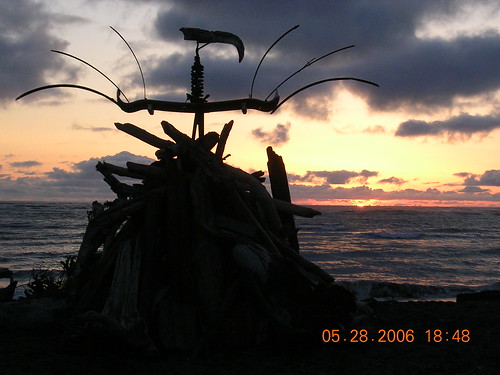 ocean sunset beach recycled bikes 2006 porttownsend pt amphibious kineticsculpturerace ksr kineticchicken beachcruiser davincidays millicent crabpark henryfordgoessurfing bounceforglory whymcycle kineticchoochoo arcatatoferndale thatsamowereh daviswhymcyclesociety