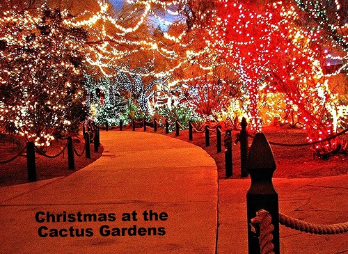 christmas trees decorations cactus beautiful night wow wonderful garden lights nice interesting fantastic colorful factory lasvegas chocolate gorgeous excellent picnik ethelm catchycolorsorange wonderfulworld