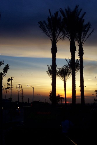 sunset cloud color palmtrees redlands