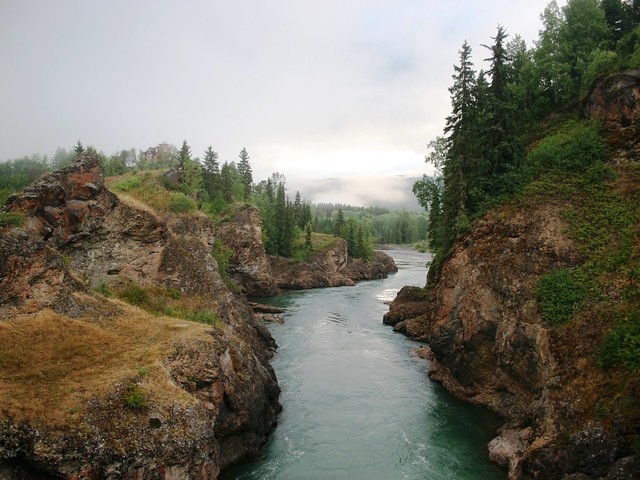 Salmon Stream Near Smitters BC