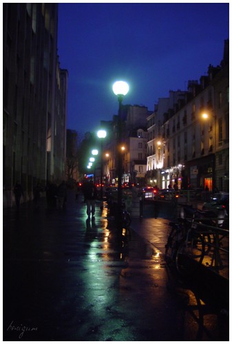 Paris Rain City at dusk