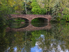 Reflection Bridge