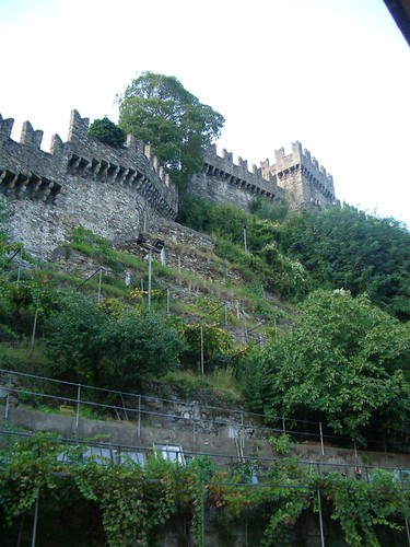 castle switzerland ticino europe unesco grapes bellinzona worldheritage grapevines