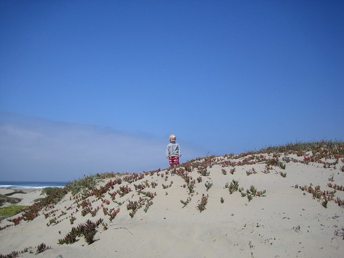 Camps Bay Beach