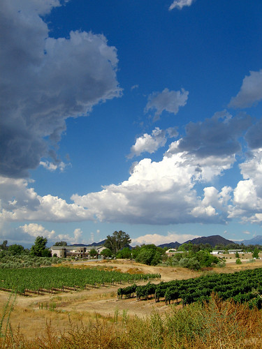 california sky storm clouds vineyards grapes winecountry