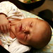 sequoia passed out at the thanksgiving table    MG 6141