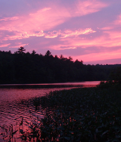 sunset lake clouds pinksky pinksunset canoetrip peterboroughnh powdermillpond