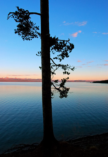 blue sunset lake nature silhouette lens landscape nikon d70 nps 2006 yellowstone wyoming yellowstonelake 2for2 nikonstunninggallery bestnaturetnc06