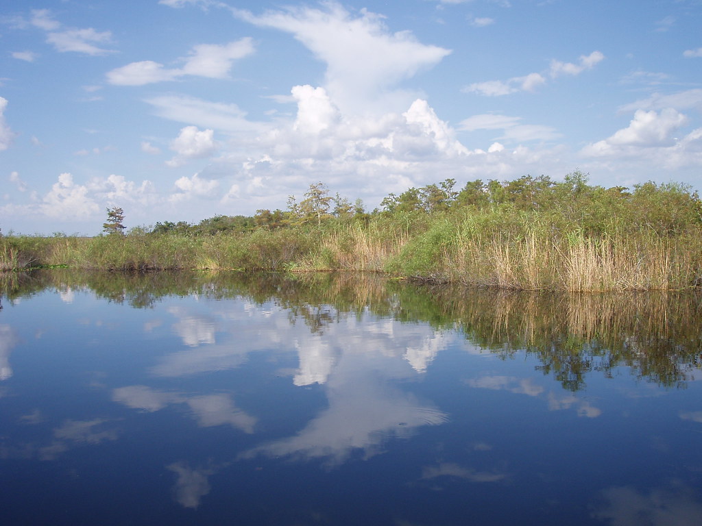 Everglades Florida