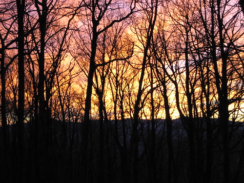 winter light sunset tree colors clouds outdoors smokymountains criticismwelcome