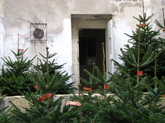 At the end of the forest there is a door