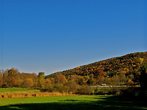 autumn fall vermont newengland guilford