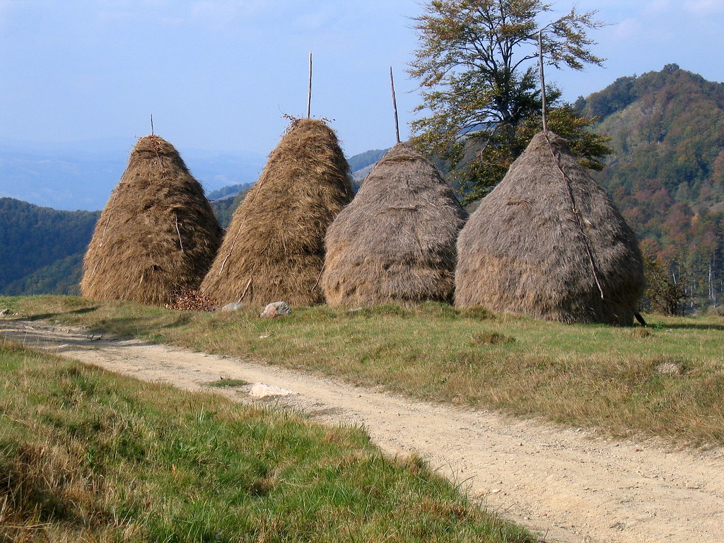 The Art of the Romanian Haystack ~ Kuriositas