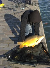 La pêche à la carpe dans le Bassin de la Villette - Photo of Bonneuil-en-France