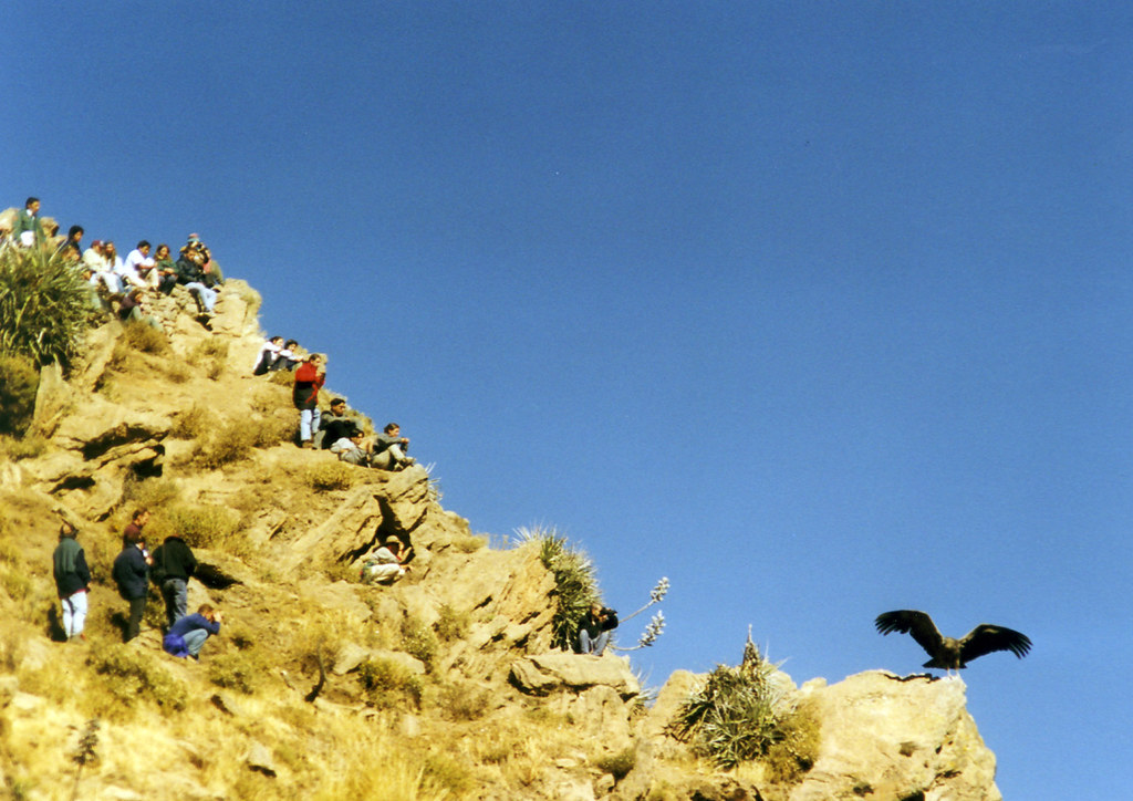 Peru 1998