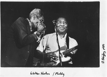 Big Walter Horton & Muddy Waters