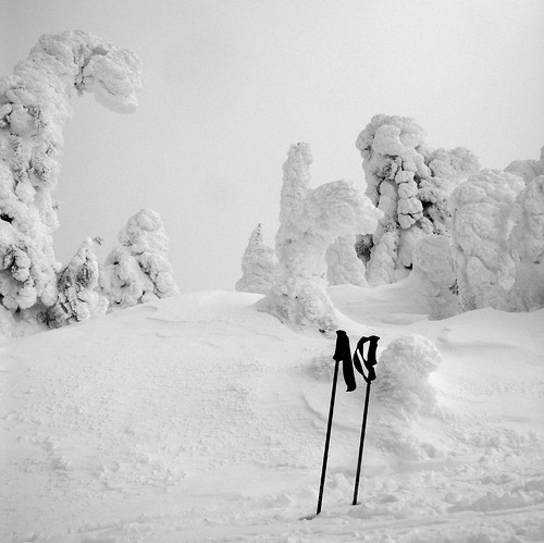 trees winter shadow white snow ski forest big bc snowcapped cap creativecommons poles licensed diamondclassphotographer flickrdiamond bemep