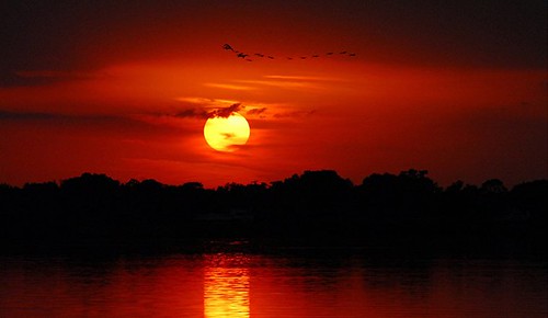 sunset lake lago atardecer florida reflexion lakeland
