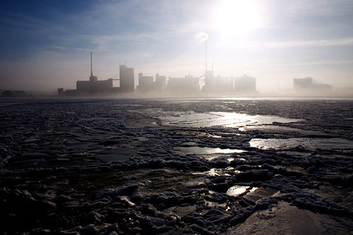 winter ice fog aalborg