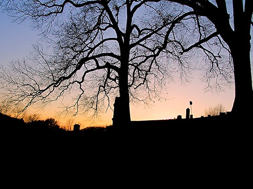 trees sunset cemetery georgia oakhill graves cartersville southernsunsets